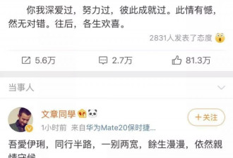 马伊琍是如何在5年里逆风翻盘，狂甩渣男的？