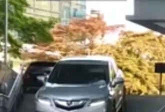 太生猛!女子驾车在温哥华中心直接冲下楼梯