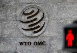 川普不满中国还在发展中 WTO却不能被迫改革