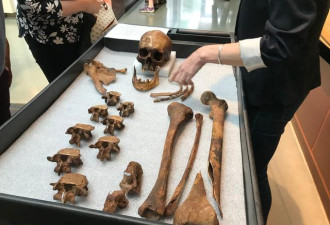 美国有座200年古墓无人靠近，传说埋着吸血鬼