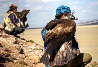 震撼人心！镜头记录蒙古4千年驯鹰传统