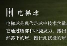 清华物理系教授:中国足球的问题是文化问题