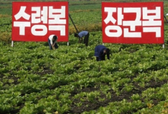 美：朝鲜第7次核试是最后1次 往后搞农业