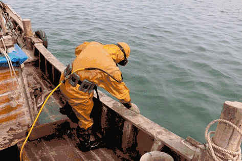 中国夫妇海边狂撬50公斤生蚝，结果悲剧被捕！