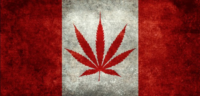 “bill C45”的图片搜索结果