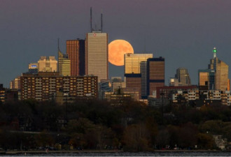 震撼！周日多伦多将现今年唯一超级月亮！