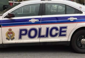 渥太华偷车贼被控37项罪名