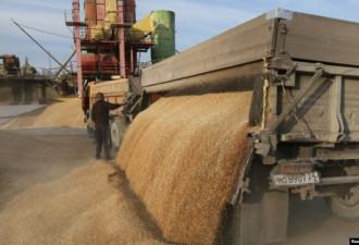 中国已批准从俄罗斯进口小麦和大豆