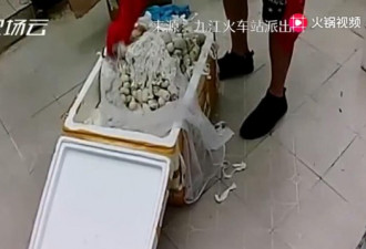 网购了500枚蛇蛋，半路孵出25条眼镜蛇…