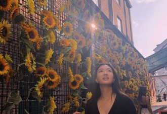 多伦多网红新地标！超美的黄色向日葵花墙
