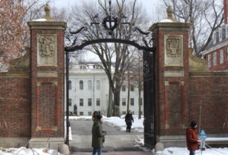 哈佛提早入学招生放榜 亚裔增至24.2%