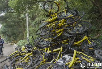 杭州大批共享单车被丢山林边 绵延300多米