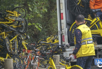杭州大批共享单车被丢山林边 绵延300多米
