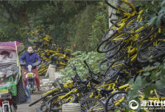 杭州大批共享单车被丢山林边 绵延300多米