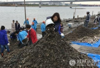 中国游客日本挖蚝 留上百吨蚝壳 成安全隐患