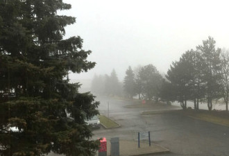 大多伦多地区晨间大雾 能见度为零