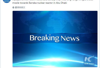 也门武装向阿布扎比核设施射导弹 不属实