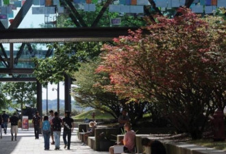 麻州大学系统连续第五年涨学费 州内生涨2.5%
