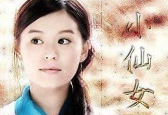 当之无愧的小仙女 离奇失踪六年当妈后突然复出