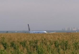 载233人俄民航机紧急迫降玉米地 乘客坦然撤离