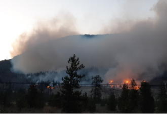 卑诗省再次发生山火 今年第596起森林大火