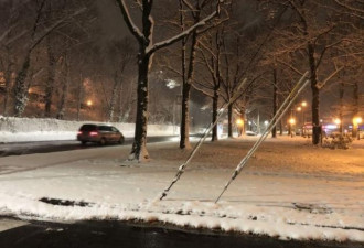 纽约入冬首场雨雪 增添白色圣诞氛围
