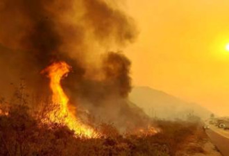 加州火灾扩散4800倍逼近优胜美地 天灾还是人祸