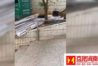 男子跳楼当场死亡！楼上发现怀孕儿媳妇遗体