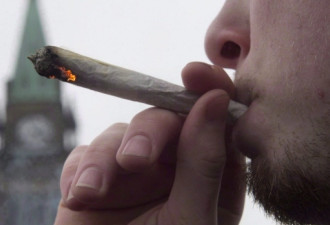 杜鲁多：大麻合法化明年夏天，不是7月1日