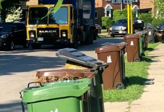 增设棕色桶，多伦多试点垃圾自动收集