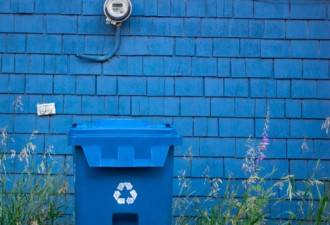 回收物被当成垃圾填埋? 安省蓝盒回收或被取消