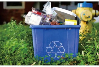 回收物被当成垃圾填埋? 安省蓝盒回收或被取消