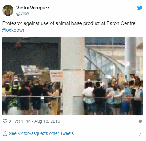 Eaton Centre突现示威队伍 大量顾客被困在商场