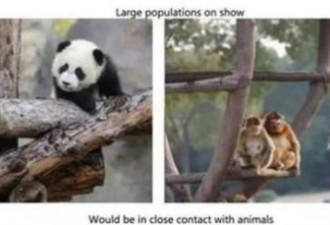 上海野生动物园英文翻译闹笑话
