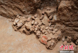 陕西65件彩绘泥塑佛头 为当地近年大批量发现