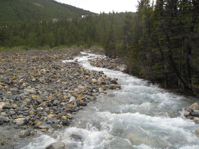 “Berg Lake Trail rapid”的图片搜索结果