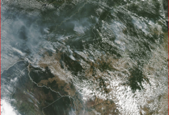地球之肺在燃烧！亚马逊雨林大火严重，创纪录