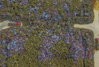 消失的共享单车去哪了？记者深入调查揭秘真相