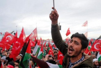 伊斯兰峰会 土耳其定以色列为恐怖占领国