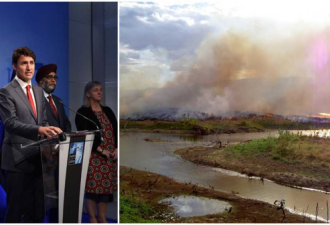 国际危机！两大帅哥领袖关注亚马逊森林大火