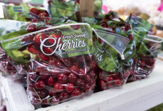 9月1日起，加拿大樱桃等八种水果禁入欧盟