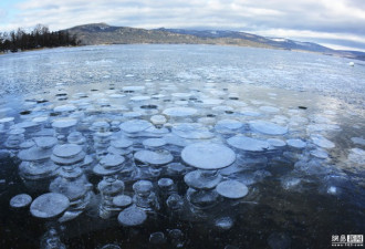 北海道阿寒湖现&quot;气泡冰&quot; 令人叹为观止