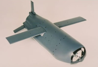 美国空军研制“灰狼”廉价巡航导弹