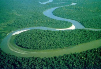 亚马逊雨林大面积燃烧 或引发全球气候大变化