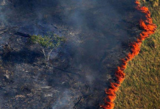 亚马逊雨林大面积燃烧 或引发全球气候大变化