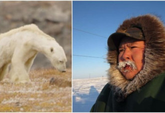 饿的皮包骨北极熊视频可能没那么简单