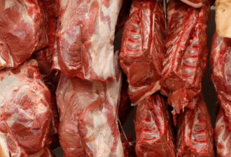 多伦多一大拖车牛肉被盗 价值三万余元