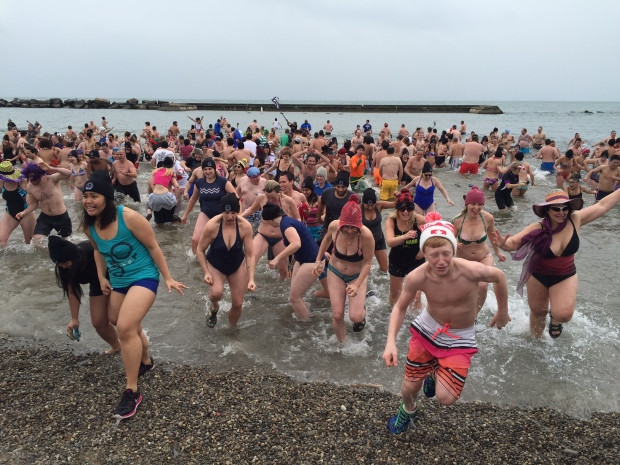 Neil Herland TO polar swim Jan 1 2016
