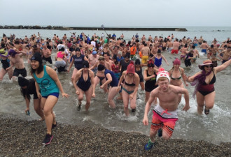 天气严寒 多伦多新年北极熊冬泳被迫取消