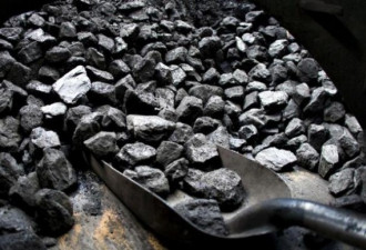 政府服软：承认过渡推动煤炭禁令使百姓受冻